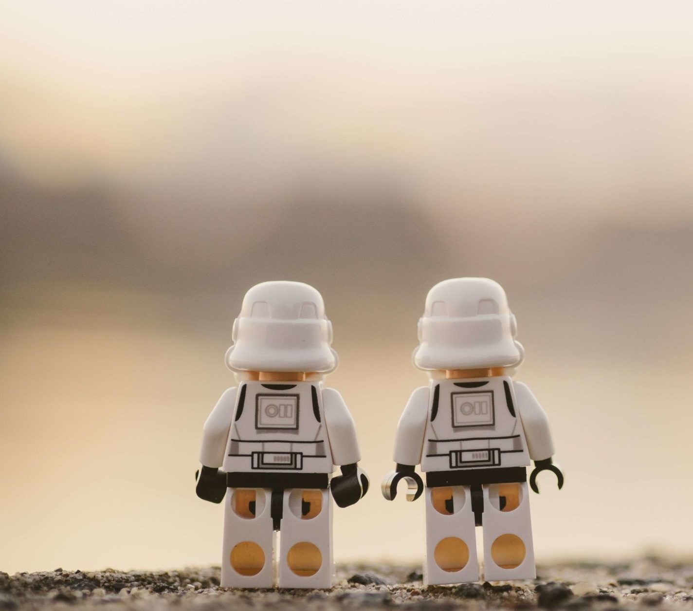 daniel-k-cheung-nXKNn2L4fDw-unsplash (1) daniel-k-cheung-nXKNn2L4fDw-unsplash (1)